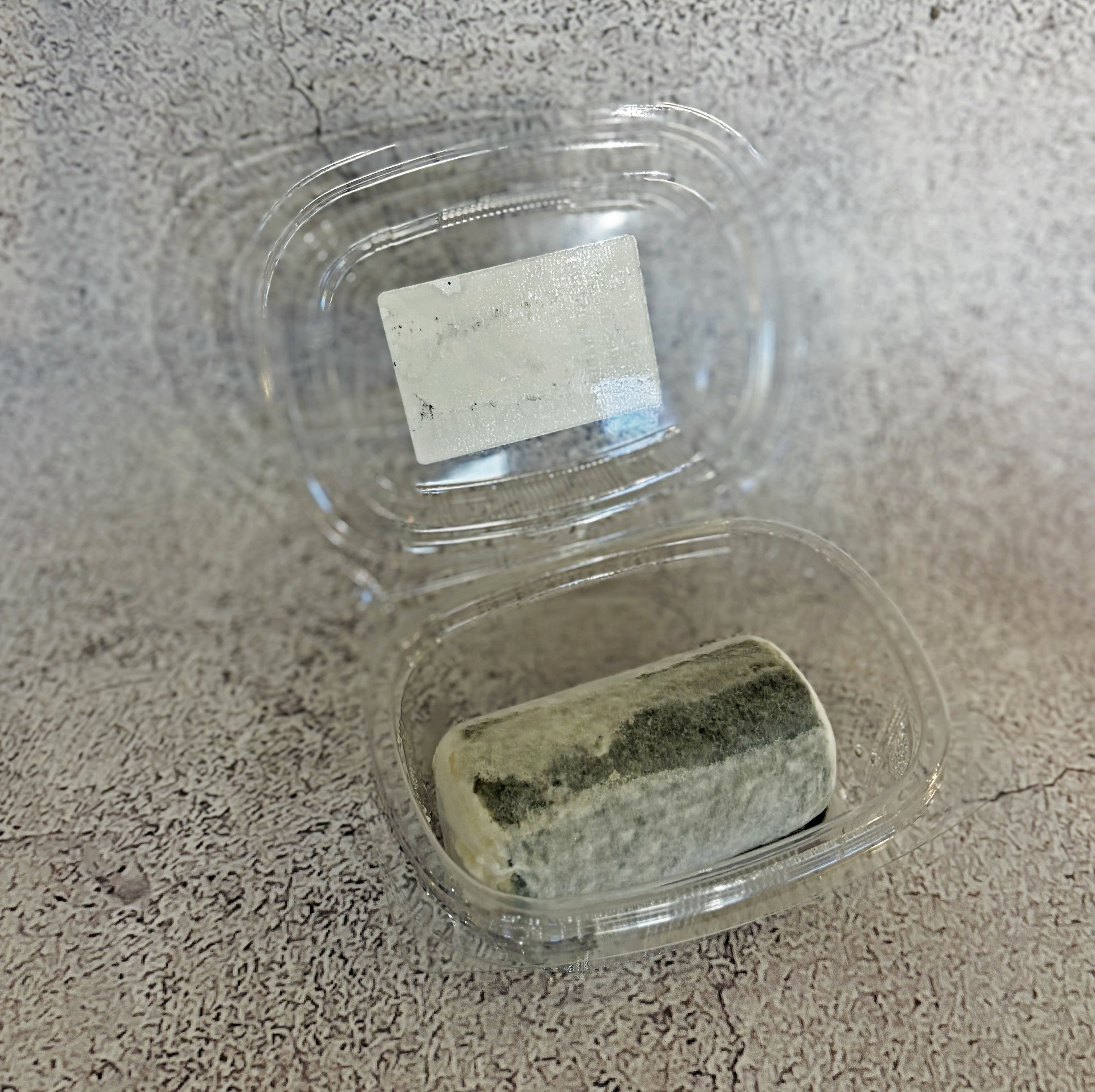 Belnori Forest Phantom