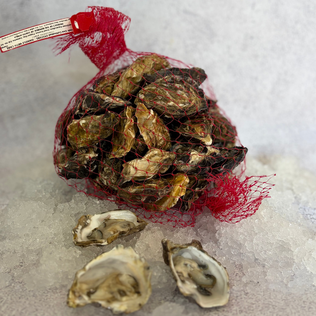 Saldanha Oysters