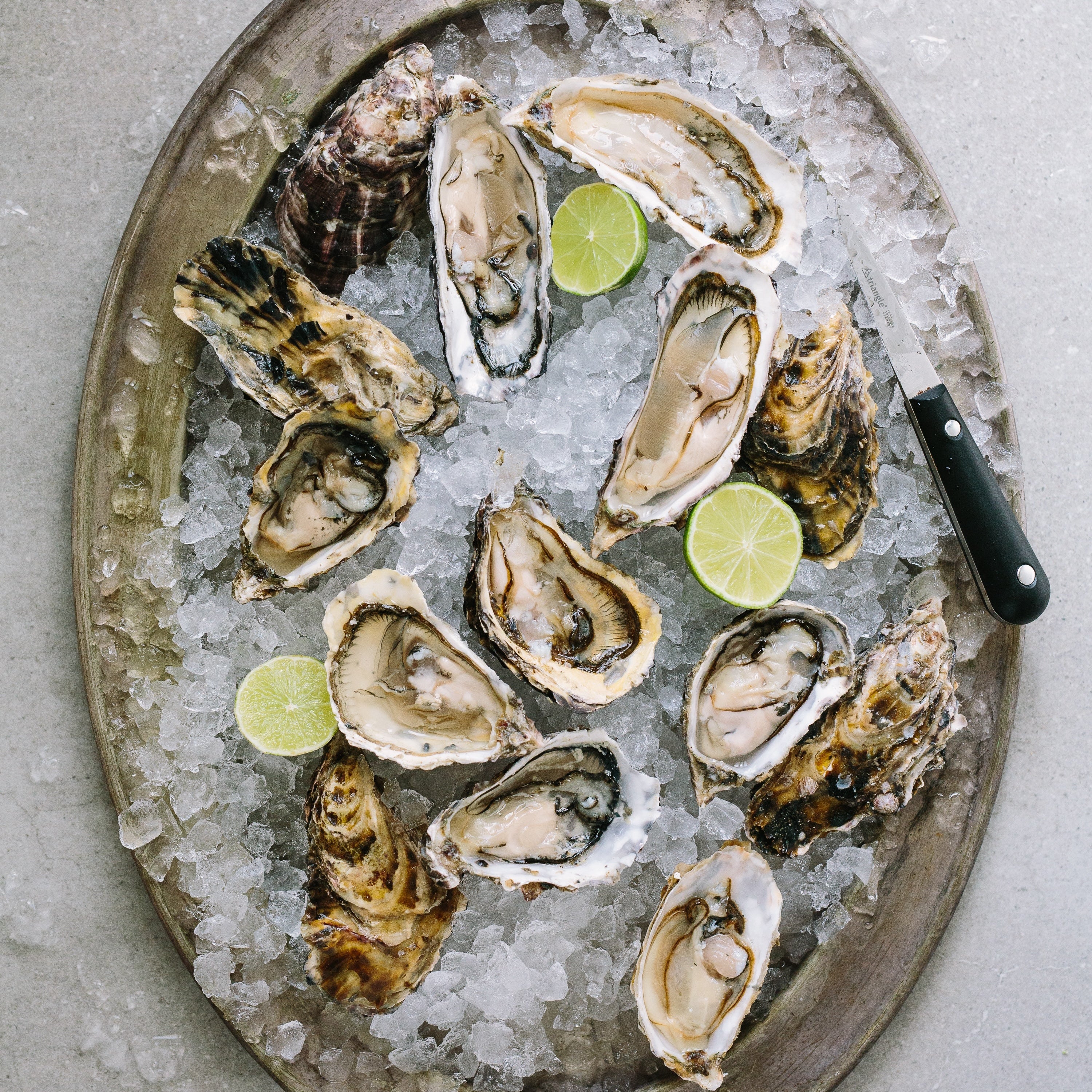 Saldanha Oysters